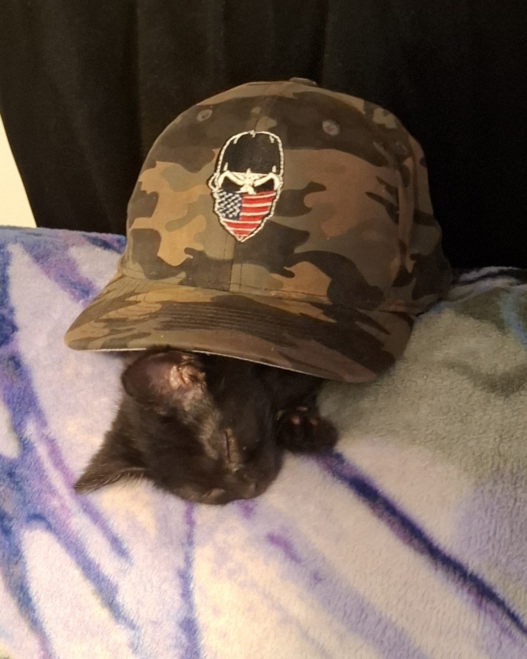 Aries the Black cat. Baseball Cap, Cap, Clothing, Hat, Cat, Kitten