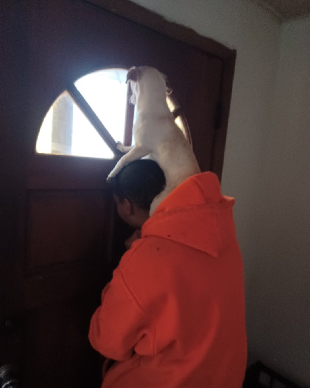 aveil and Neriah the pugzu. Person, Door, Clothing, Coat, Adult, Male