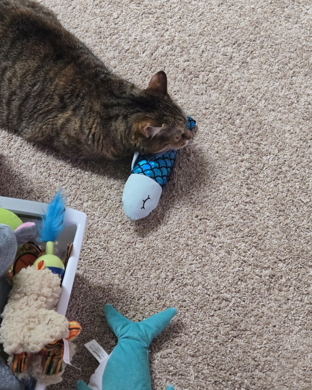 Lucy the tabby — Plush, Toy, Home Decor, Couch, Furniture, Cat