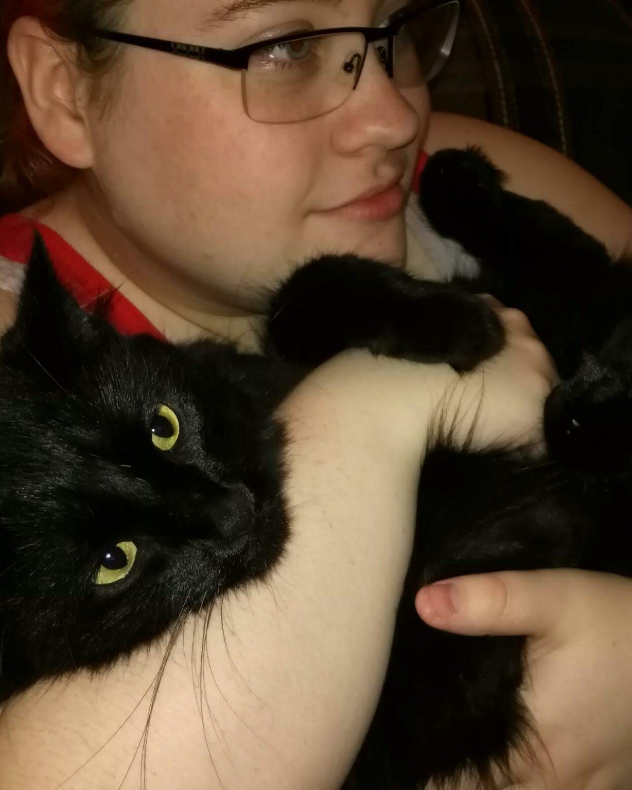 Sylvester the Unsure. Accessories, Glasses, Person, Cat, Black Cat, Kitten