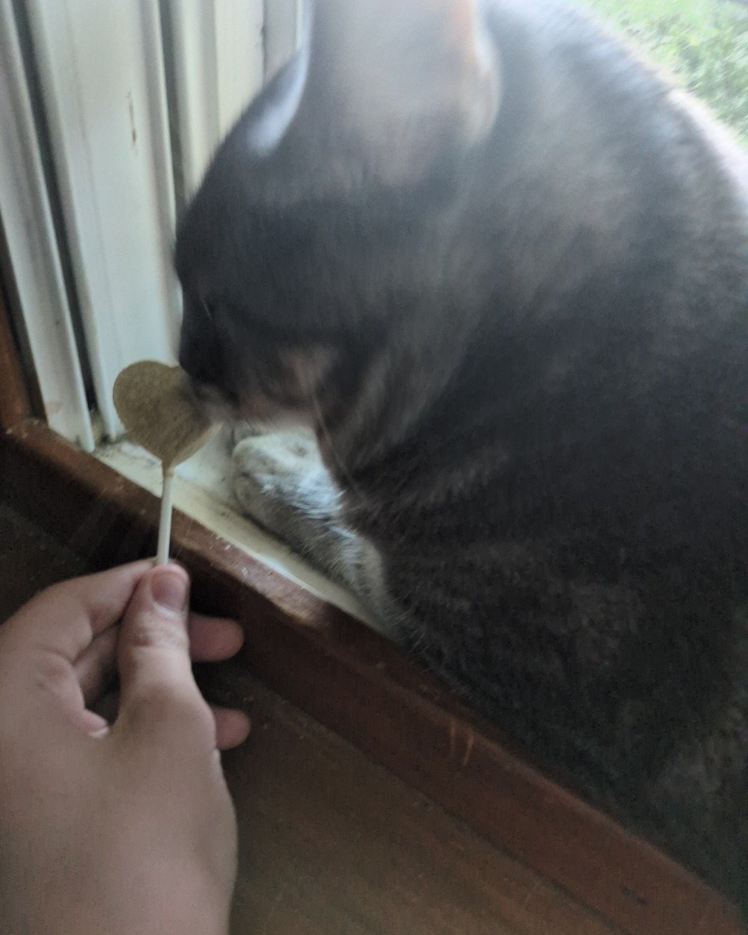 Max. Brush, Device, Tool, Wood, Cutlery, Spoon