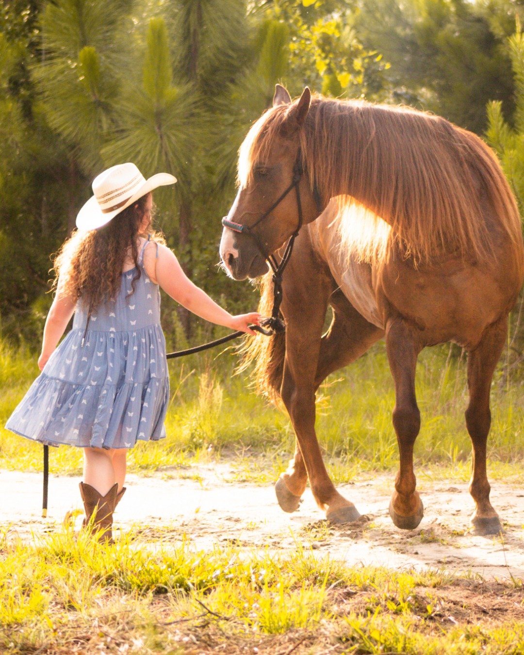 Maya the morgan. Clothing, Hat, Person, Colt Horse, Horse, Skirt