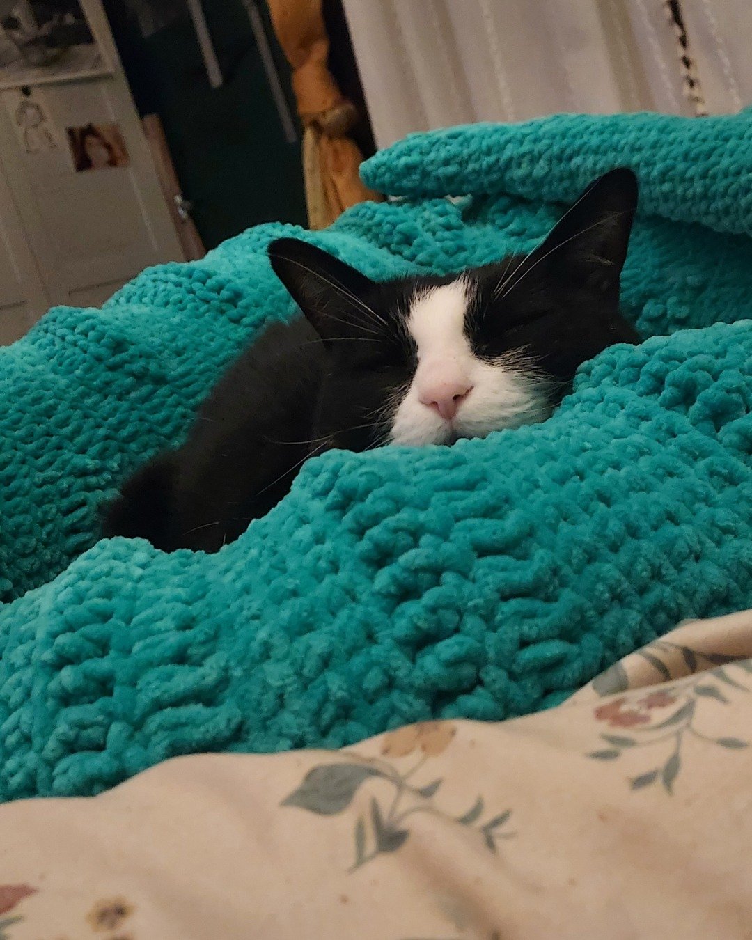 Nico di Angelo. Blanket, Cat, Person, Skin, Tattoo