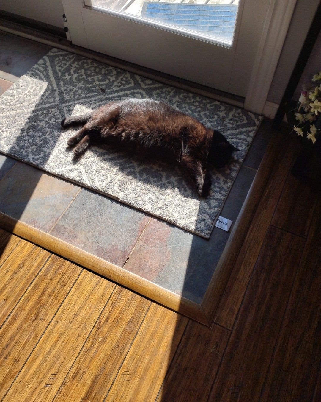 Milo the Unknown. Hardwood, Wood, Home Decor, Floor, Flooring, Rug