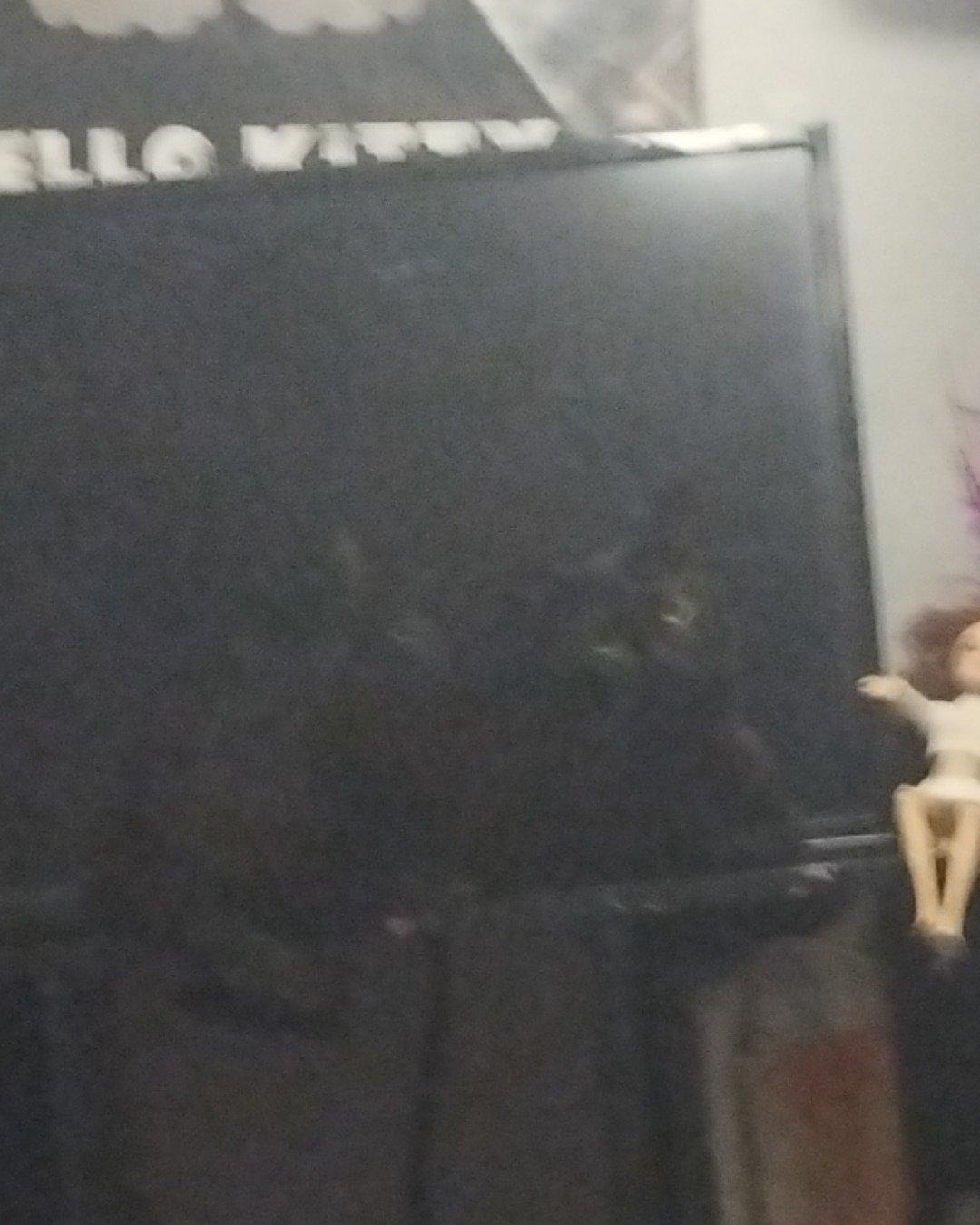 Wednesday the black Halloween cat