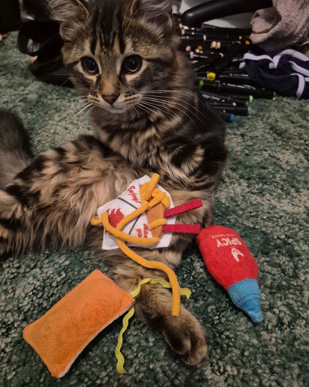 Noodle. Cat, Kitten, Couch, Furniture, Plush, Toy