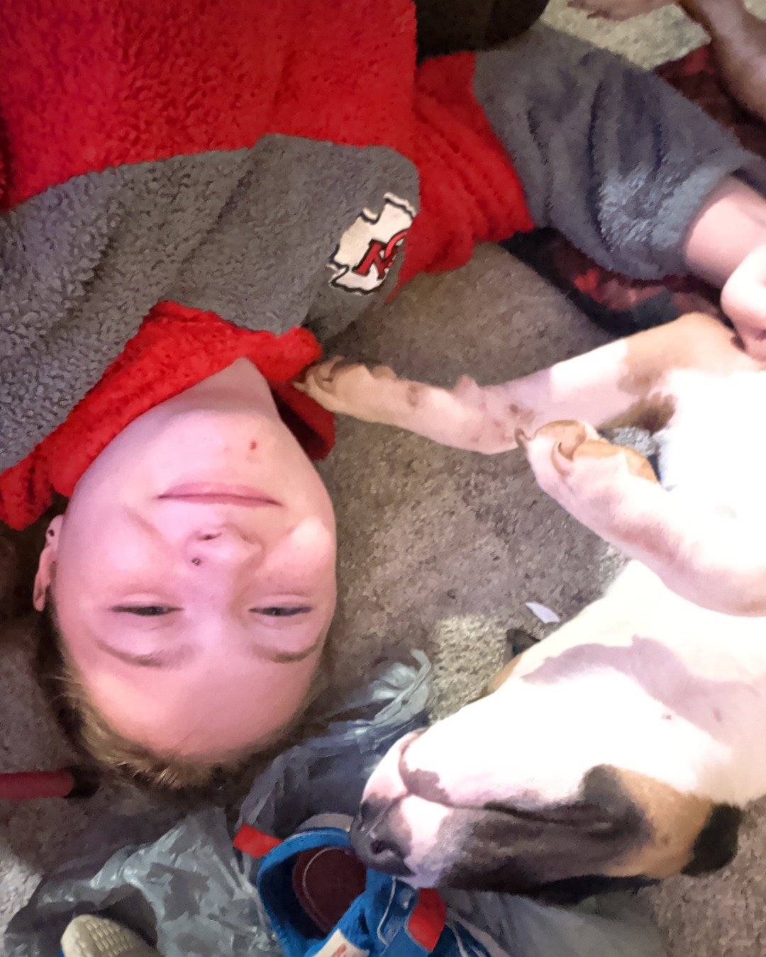 Chinook the bull terrier. Person, Dog, Puppy, Sleeping, Hound, Blanket