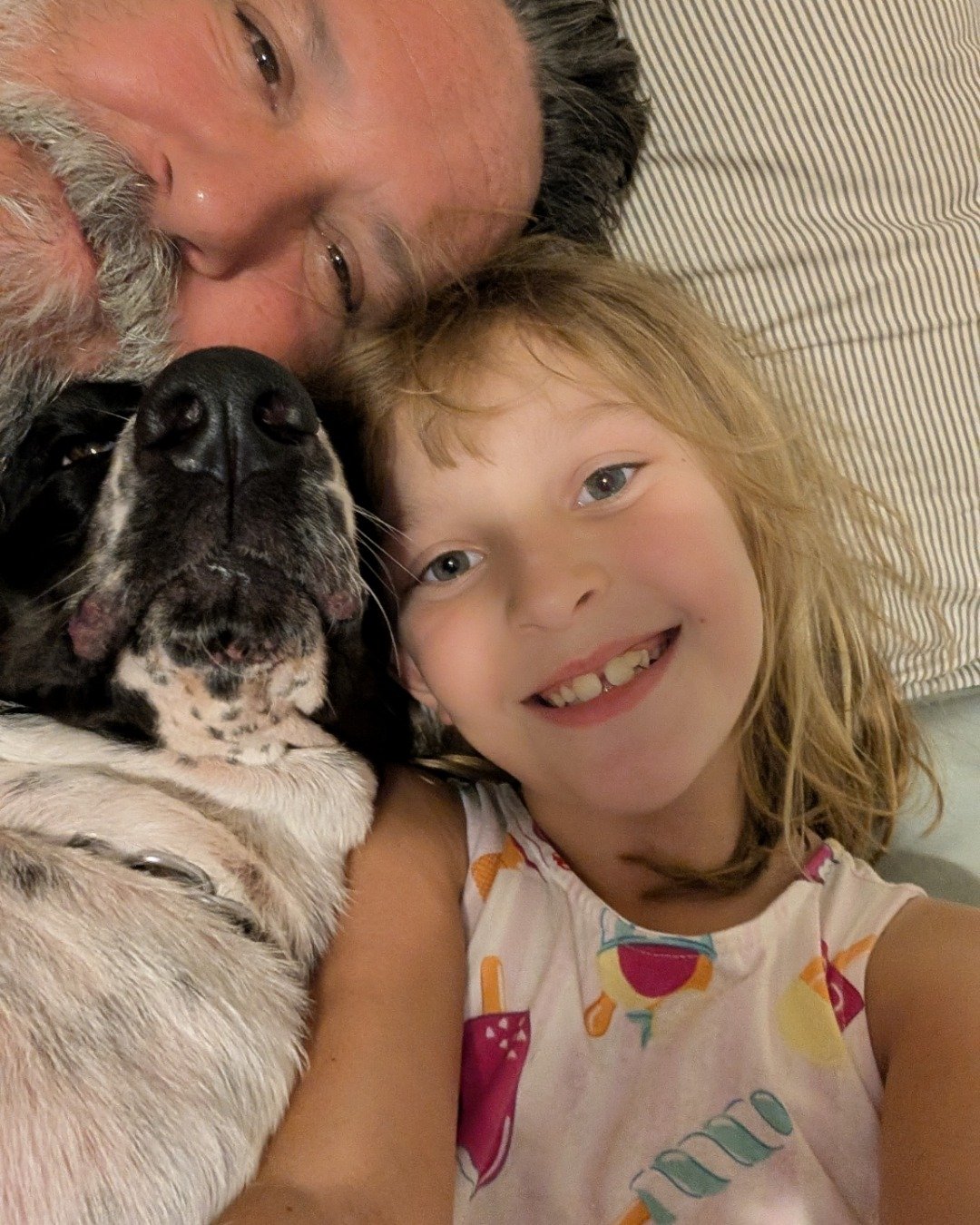Gigi the shih Tzu. Person, Child, Female, Girl, Dog, Puppy
