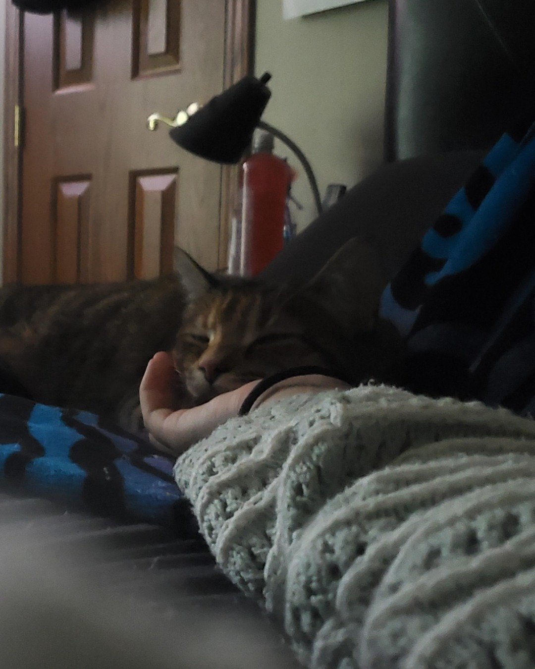 Ainé. Cushion, Home Decor, Furniture, Cat