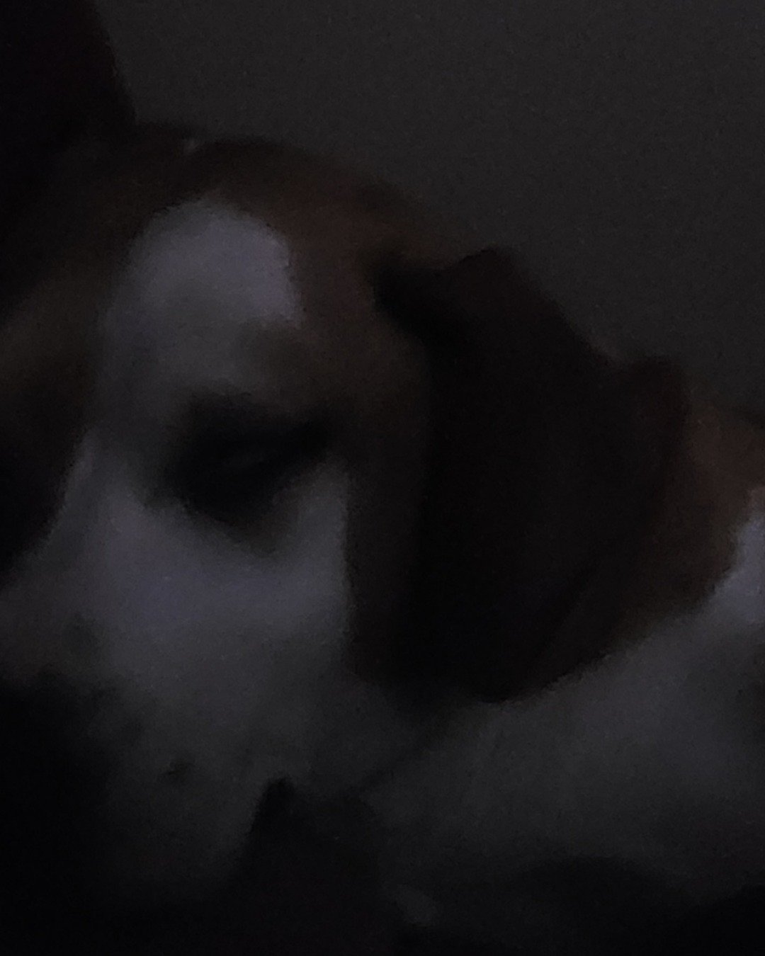 daisy the pittbull mix. Dog, Hound, Puppy, Person