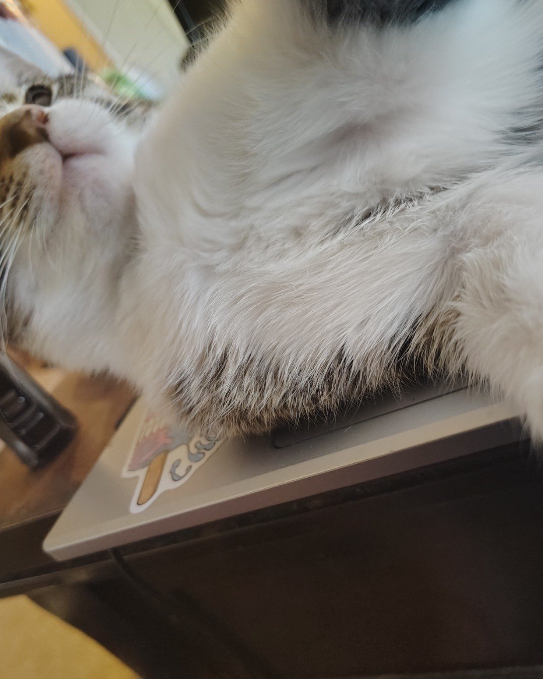 Athena. Computer, Electronics, Laptop, Pc, Computer Hardware, Computer Keyboard