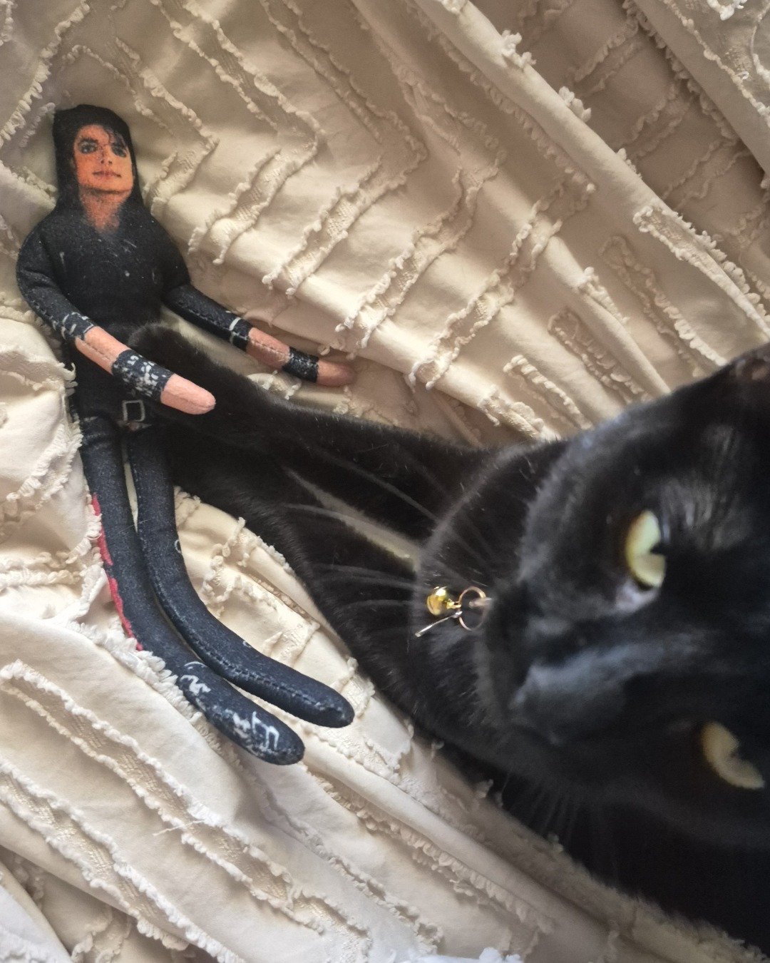 noodle 🍜 the black cat 🐈‍⬛. Adult, Female, Person, Woman, Cat