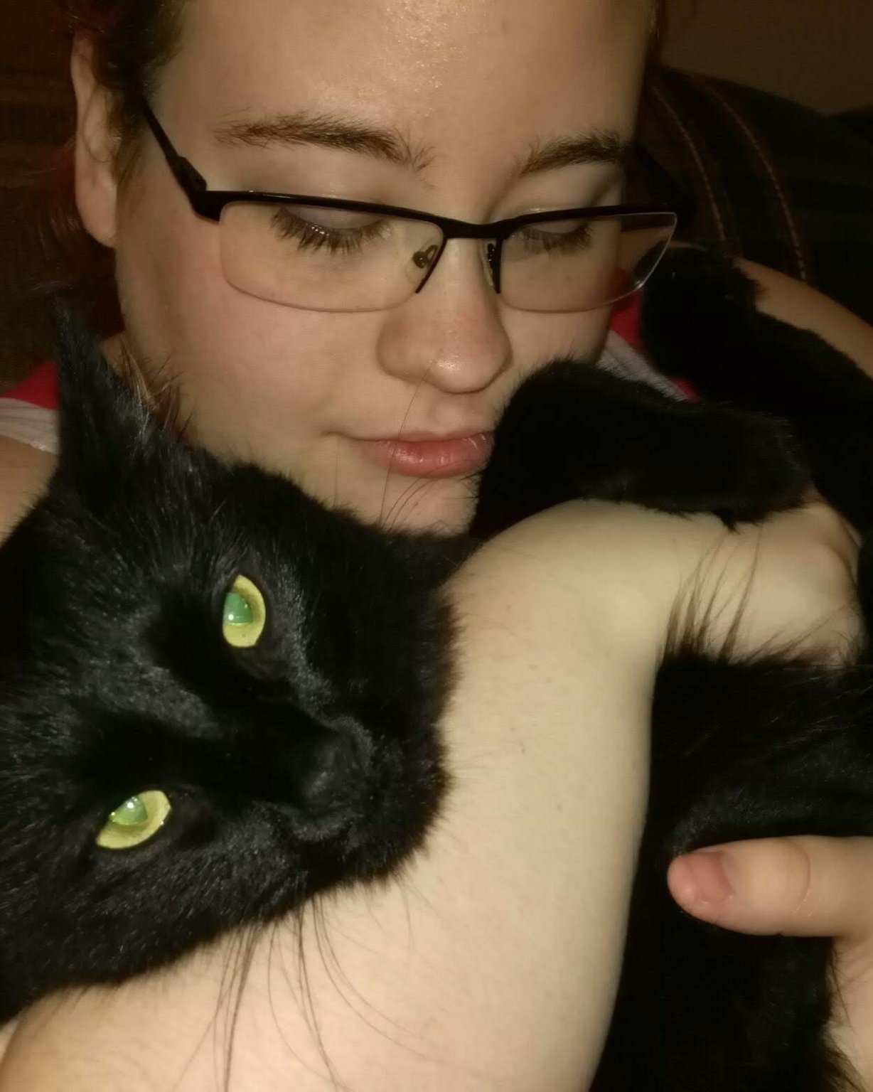 Sylvester the Unsure. Accessories, Glasses, Person, Cat, Black Cat