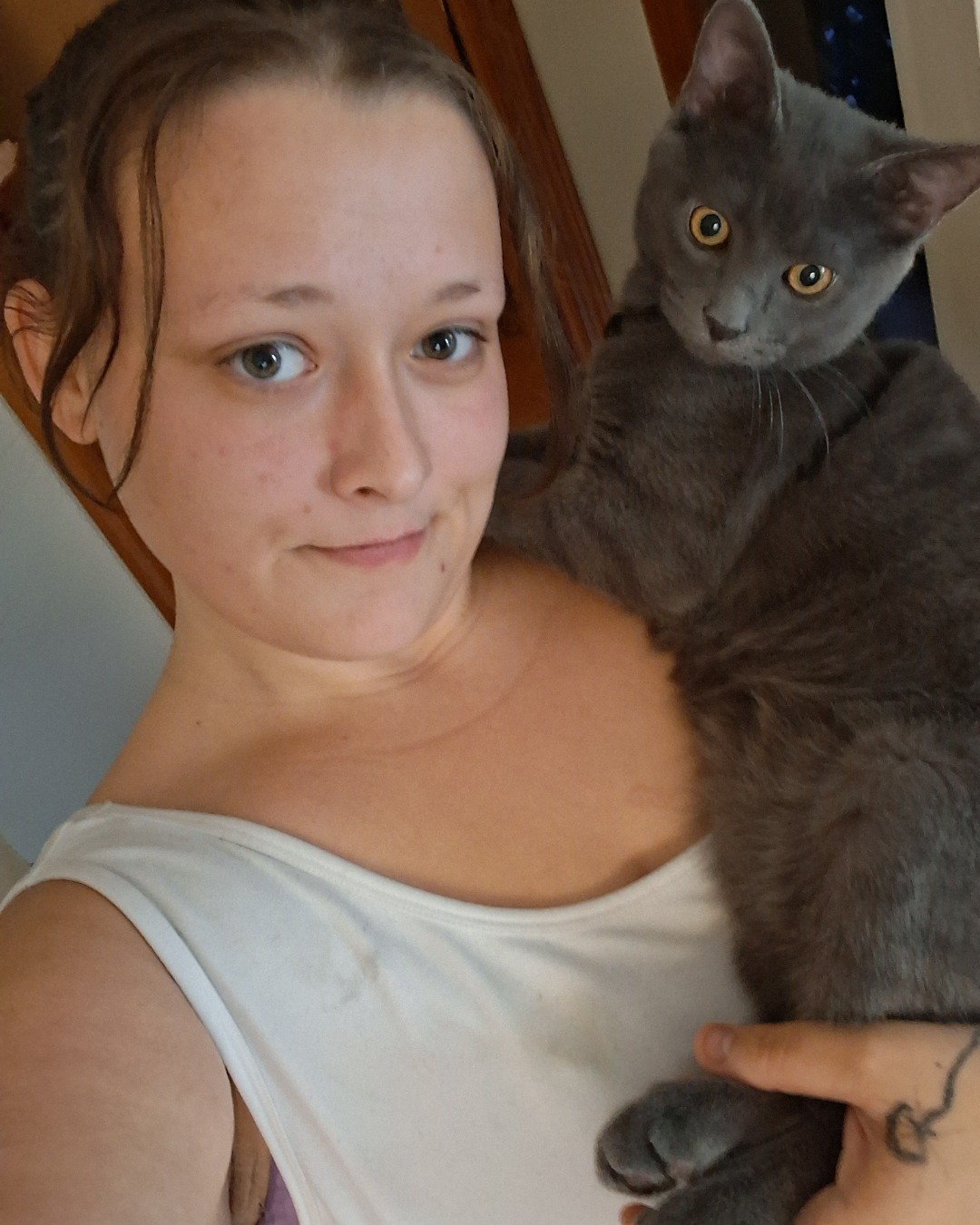 Biscuits the Russian blue. Person, Cat, Selfie, Kitten