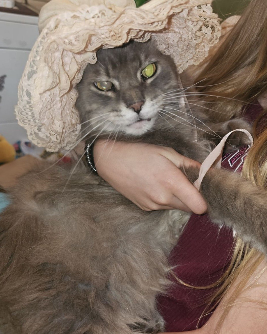 Ozzy. Clothing, Hat, Bonnet, Cat, Person
