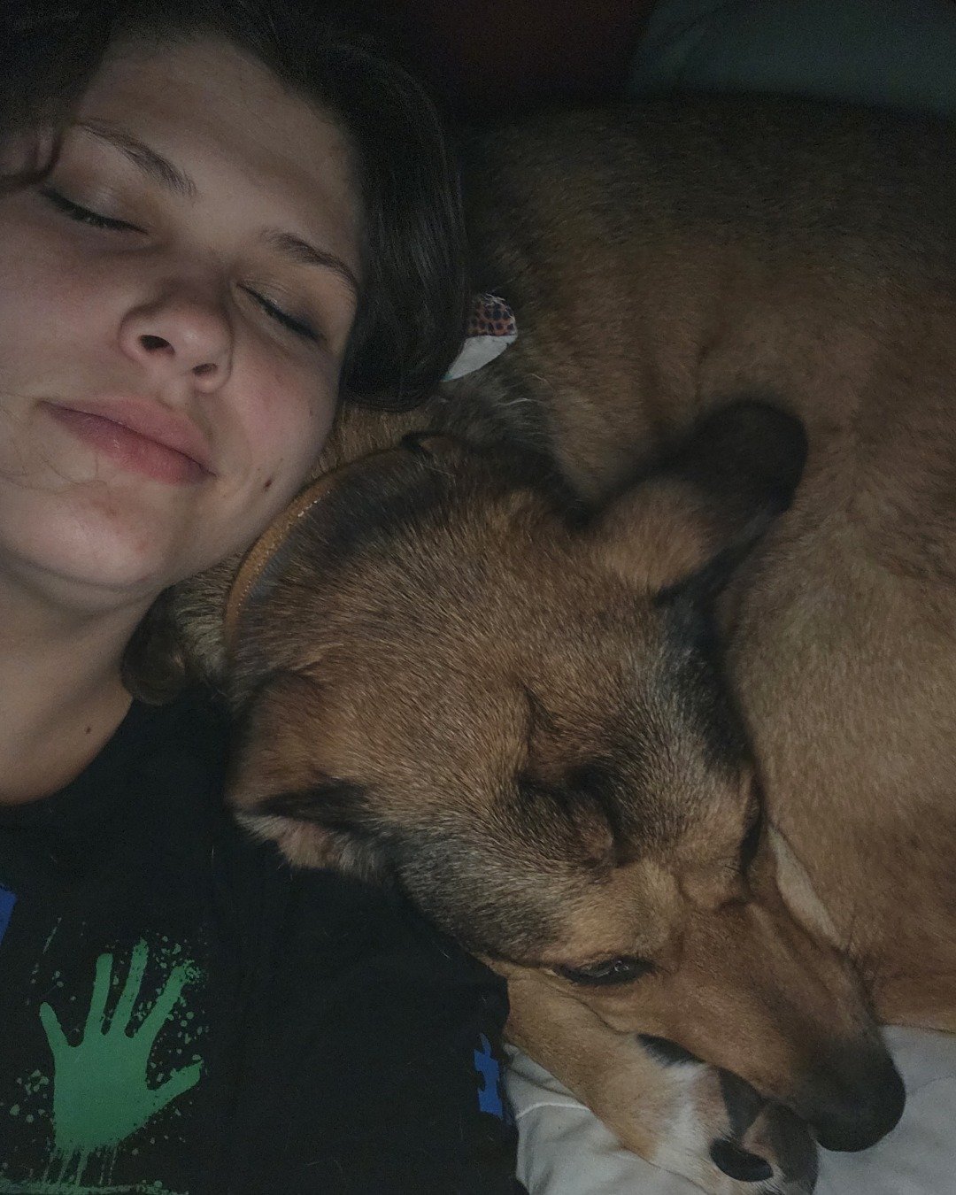Bosco Stix the Super Mutt. Person, Sleeping, Dog, Puppy, Hound