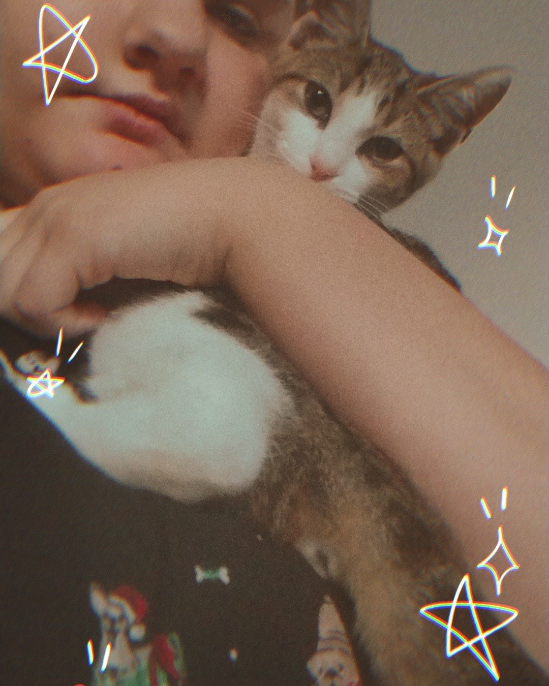 Sammy the Unknow. Cat, Kitten, Person