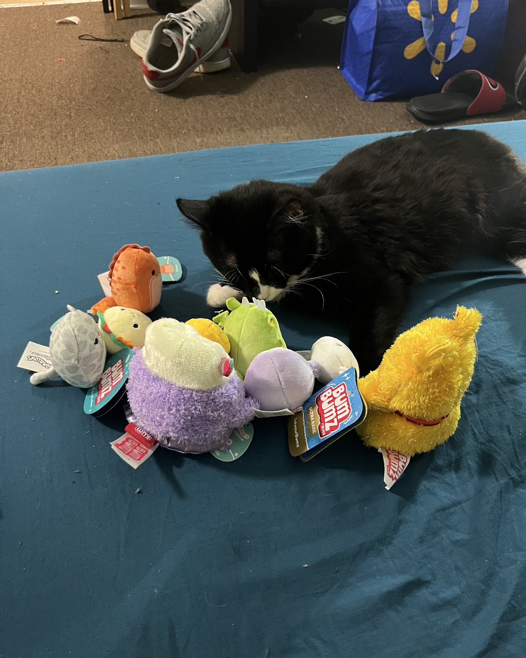 Oliver Bean. Plush, Toy, Clothing, Footwear, Shoe, Accessories