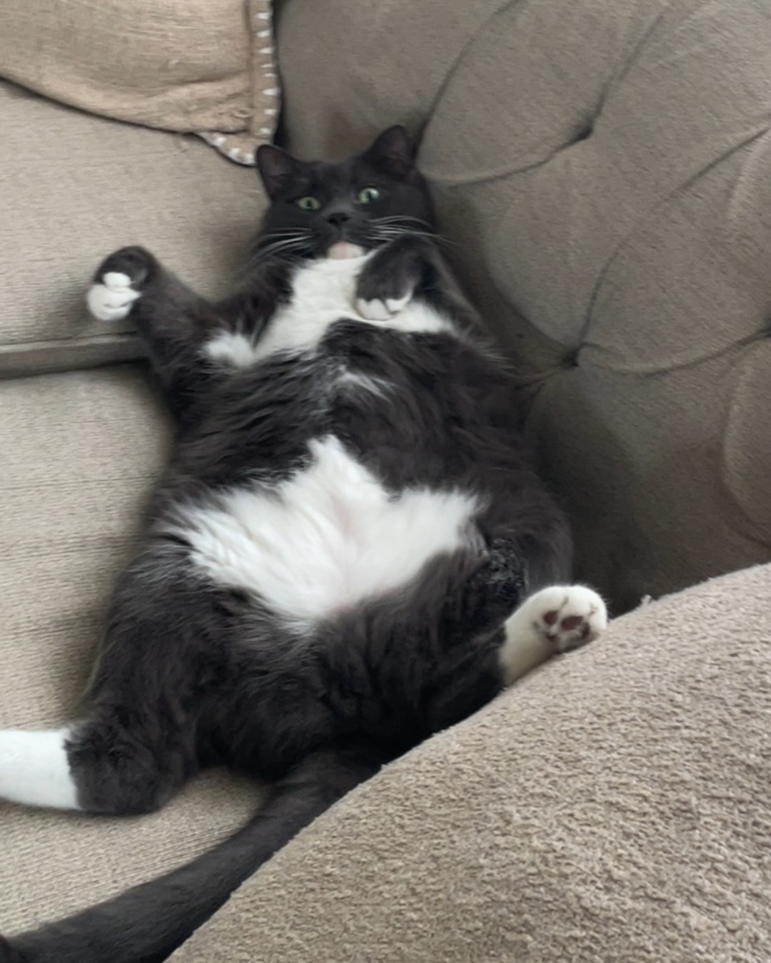 Jholote. Couch, Furniture, Cushion, Home Decor, Person, Sleeping