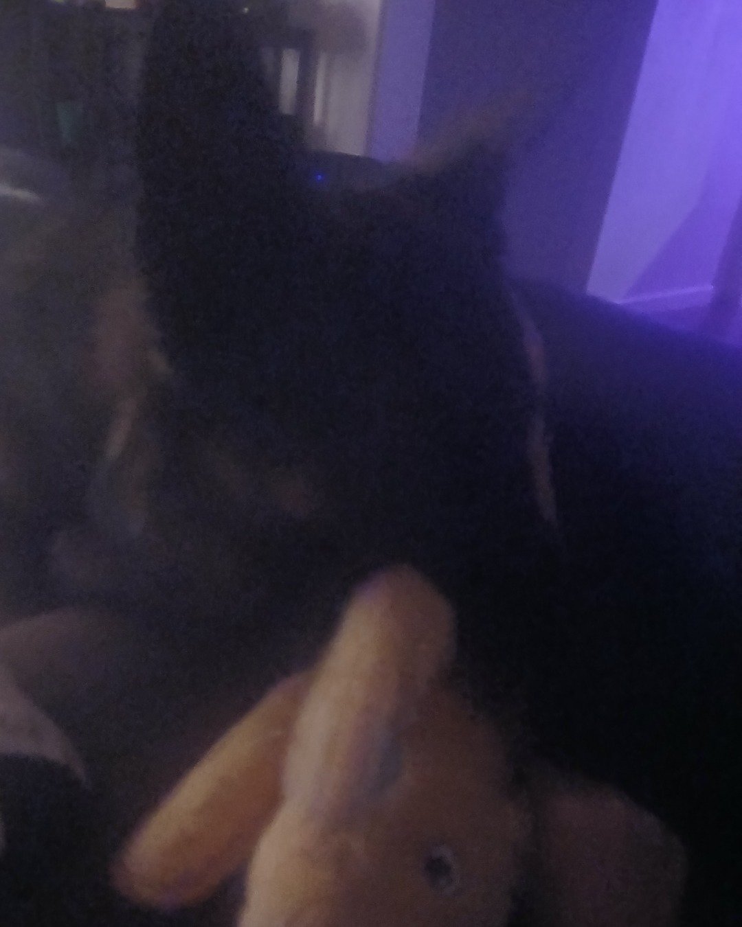 Toby. Person, Cat, Black Cat