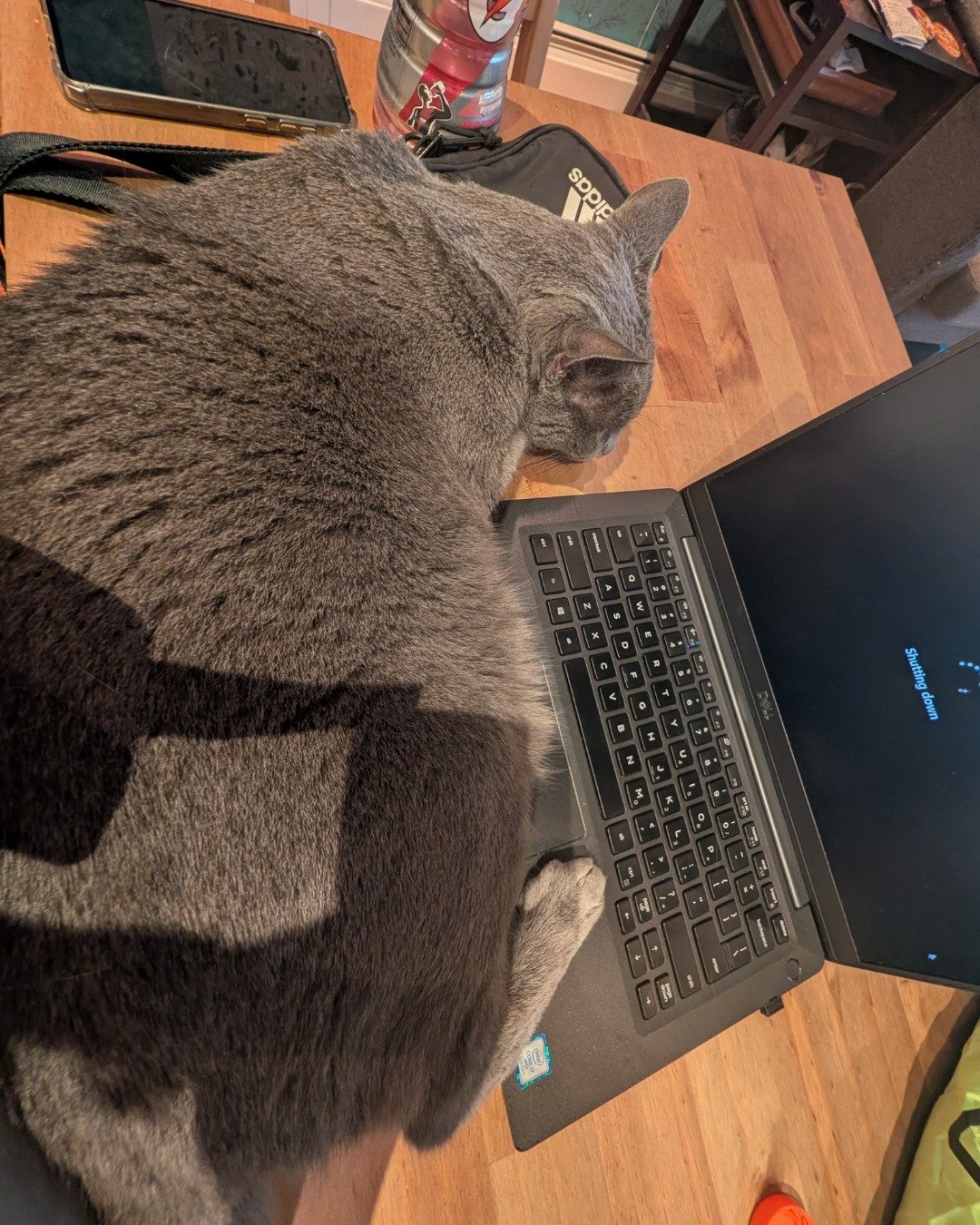 Theseus. Computer, Electronics, Laptop, Pc, Computer Hardware, Computer Keyboard