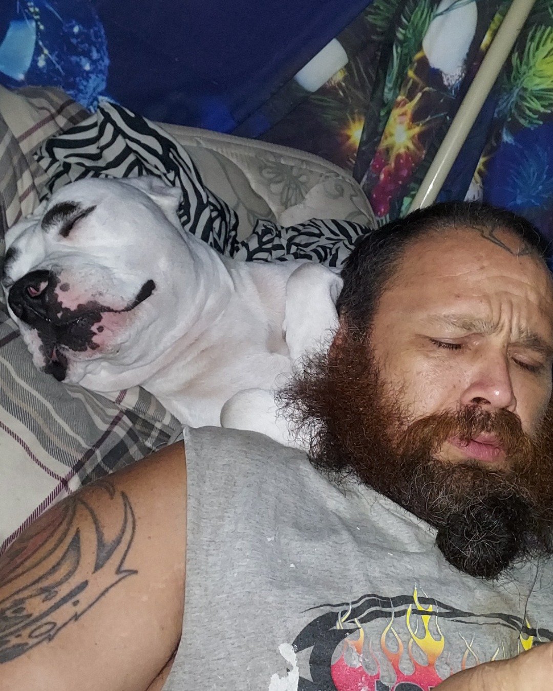 pup&kaos the pittys. Person, Skin, Tattoo, Beard, Adult, Male