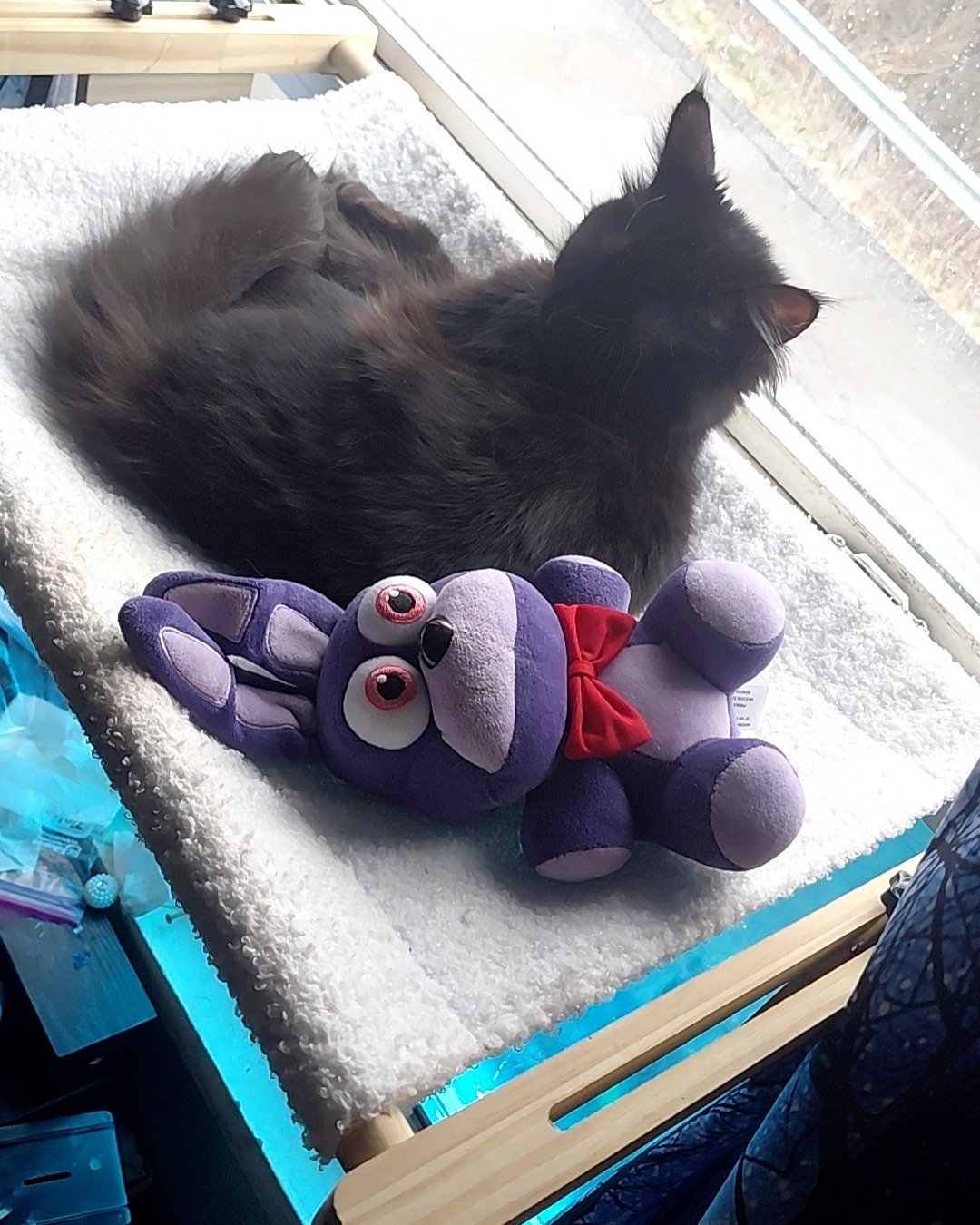 Kitty. Plush, Toy, Cat, Home Decor