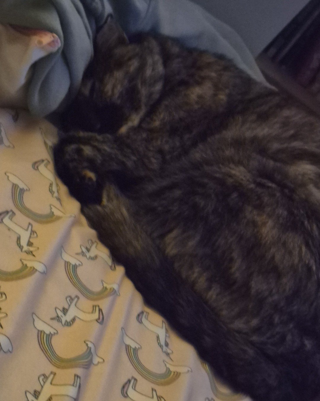Celestine. Cat
