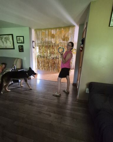 Cute German Shepherd. named Nora i have multiple animals