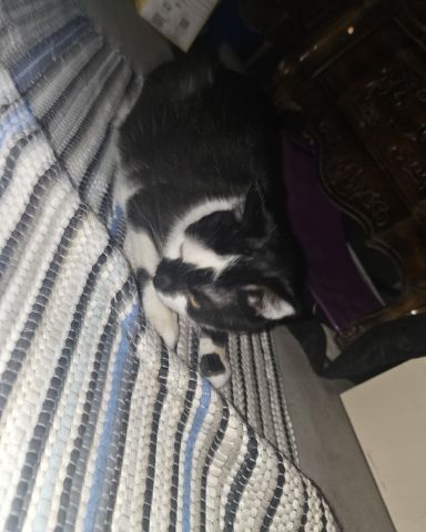 Cute idk named little bit