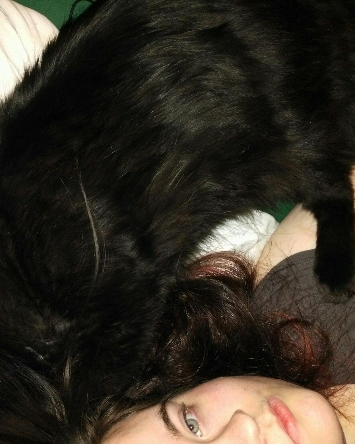 Cute Unsure named Sylvester