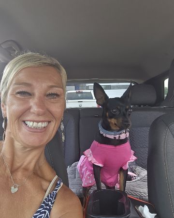 Cute Min Pin/  Chiwawa named Coco Chanel