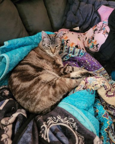 Cute stinky named Stormageddon Dark Lord of All
