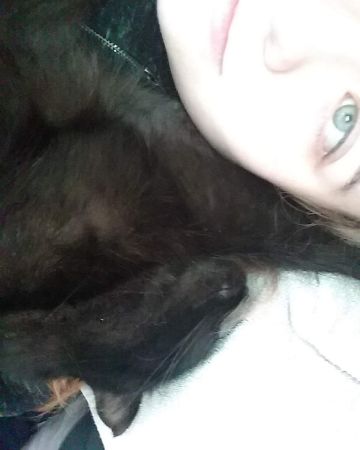 Cute Unsure named Sylvester