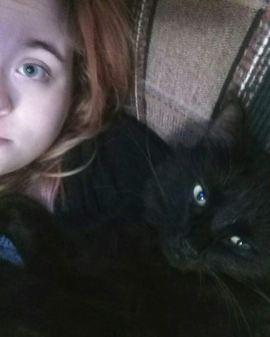 Cute Unsure named Sylvester