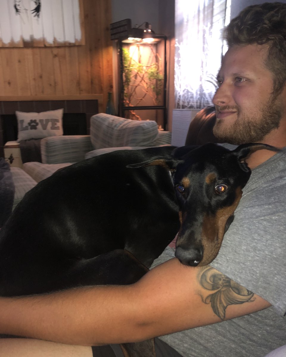 Cute Doberman Pinscher named Dojo