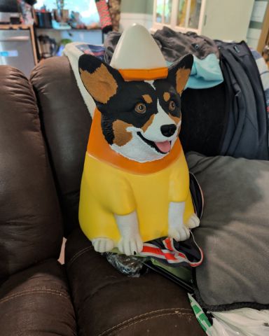 Cute Paran Brook Corgi named hazel