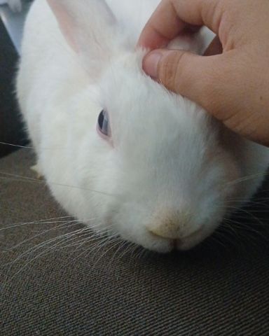 Cute other named pinky