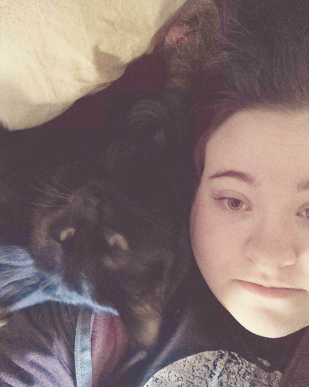 Cute Unsure named Sylvester