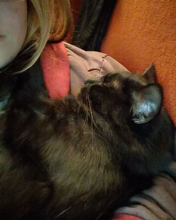 Cute Unsure named Sylvester