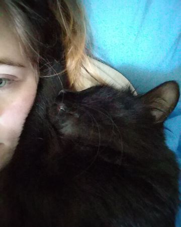 Cute Unsure named Sylvester