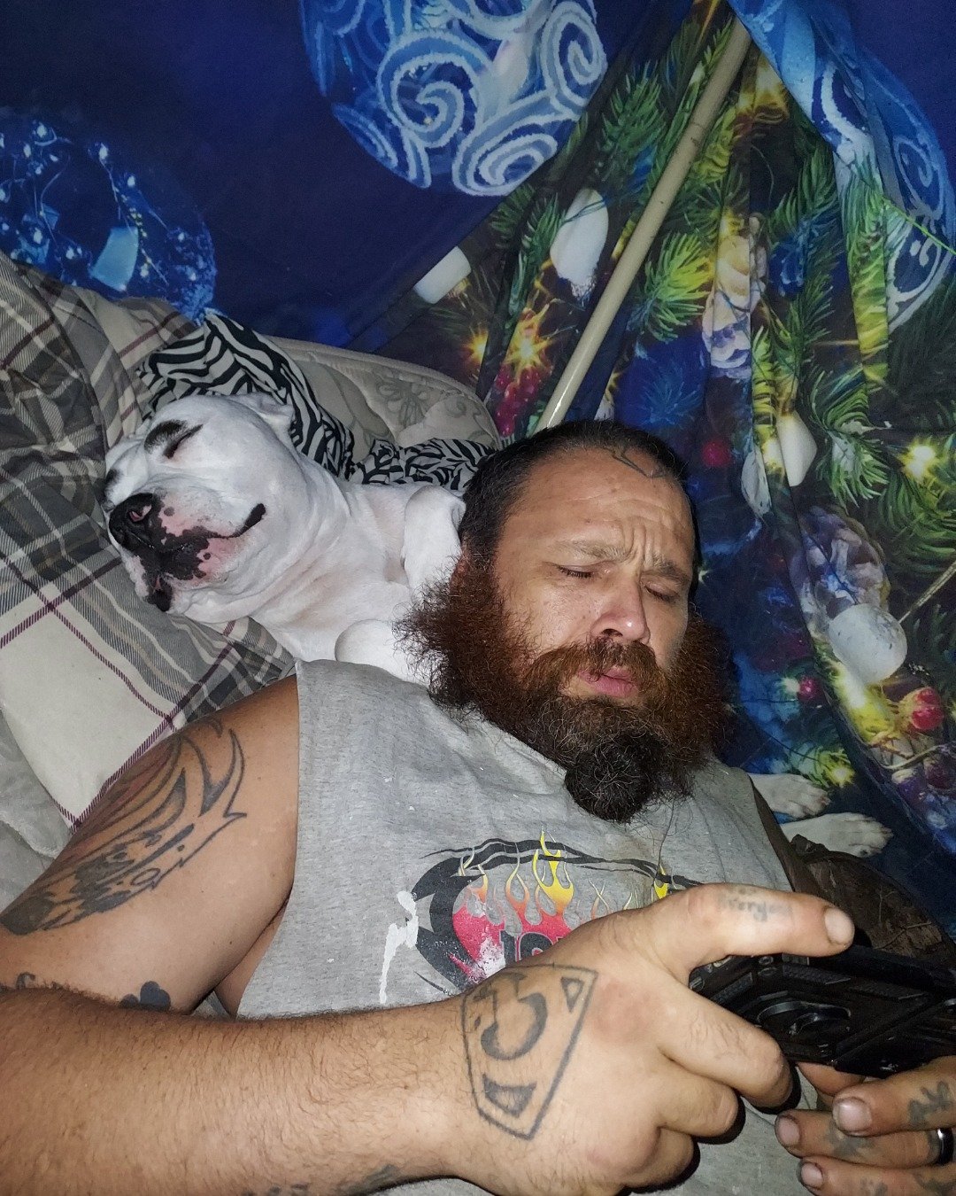 Cute pittys named pup&kaos