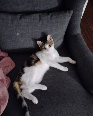 Cute Unknow named Sammy