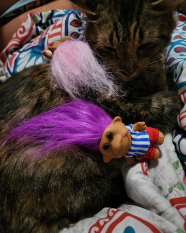 Cute cat named Buttercup