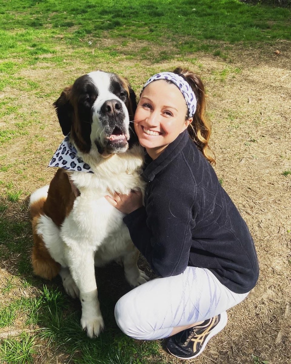 Cute St Bernard named Nova