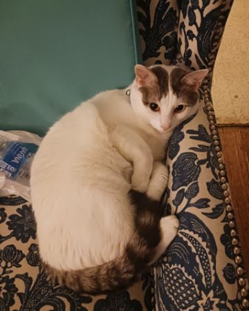 Cute Unsure named Little Dude