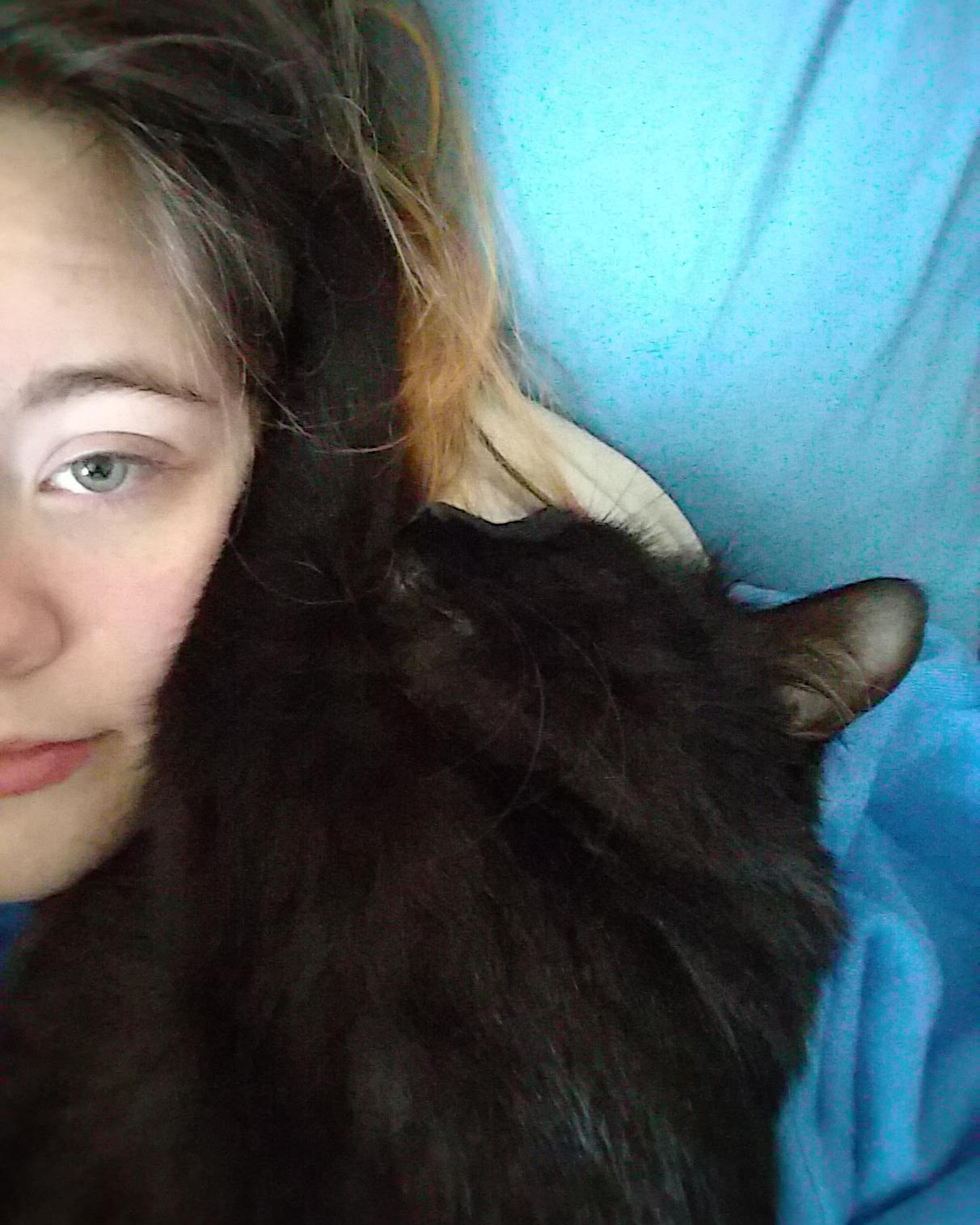 Cute Unsure named Sylvester