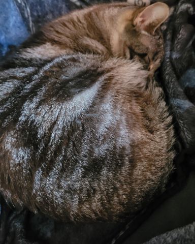 Cute stinky named Stormageddon Dark Lord of All