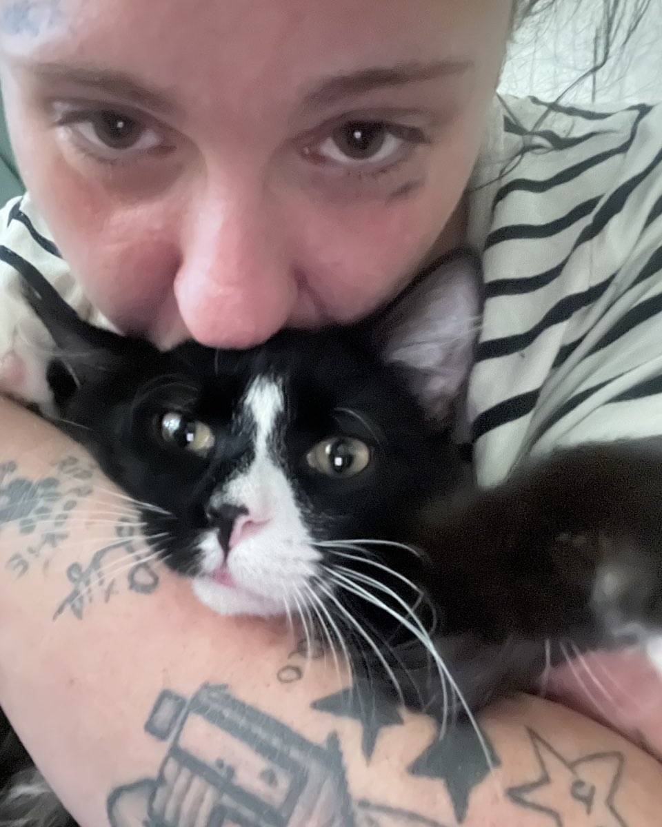 Cute cat named Oliver Bean