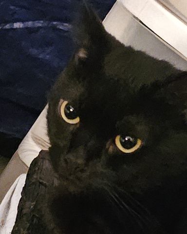 Cute idk named precious